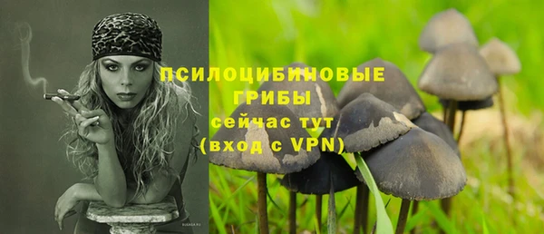 герыч Липки
