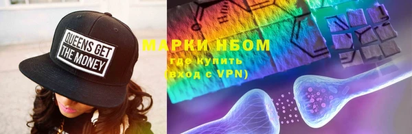 гидра Майский