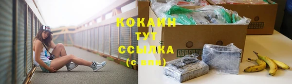 гидра Майский