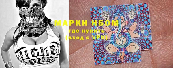 гидра Майский