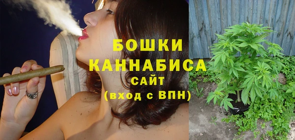 гидра Майский