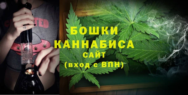 гидра Майский